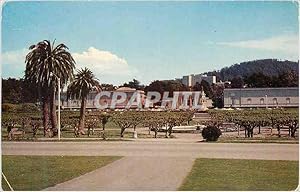 Seller image for Carte Postale Moderne California Academy of Sciences California Academ of Sciences Building located in San Francisco's famous Golden Gate for sale by CPAPHIL