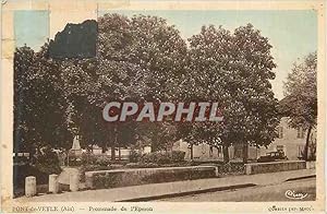 Carte Postale Ancienne Pont de Veyle (Ain) Promenade de l'Eporon