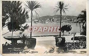 Carte Postale Moderne Cannes