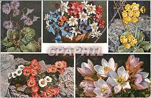 Bild des Verkufers fr Carte Postale Moderne Alpenblumen Flora Alpina zum Verkauf von CPAPHIL