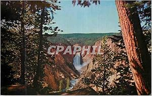 Carte Postale Moderne Lowers Falls Yellowstone Rivers