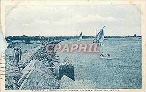 Carte Postale Ancienne Valras Plage (Herault) Station Balneaire la Jetée et l'Embouchure de l'Orb...