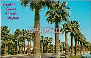 Carte Postale Moderne Central Avenue Phoenix Arizona Palm Lined Central Avenue