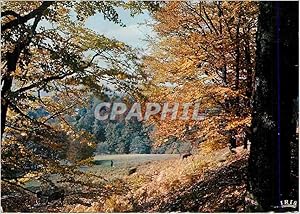 Carte Postale Moderne Le Limousin Pittoresque Entre Bugeat et Meymac Melancolie de l'Automne