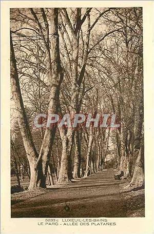 Carte Postale Ancienne Luxeuil les Bains Le Parc Allée des Platanes