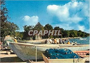 Carte Postale Moderne Guadeloupe Port de Peche a St Louis Bateau