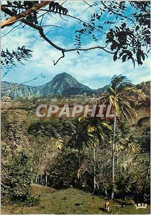 Carte Postale Moderne Martinique Paysage du Morne Vert