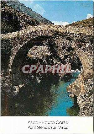 Carte Postale Moderne Asco Haute Corse Pont Genois sur l'Asco