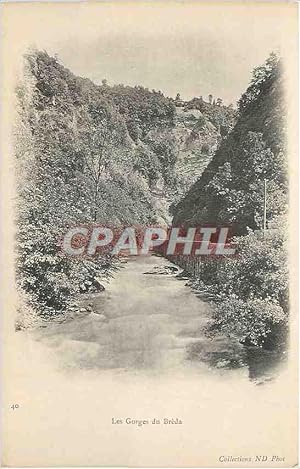 Carte Postale Ancienne Les Gorges du Breda