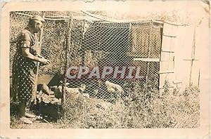 Seller image for Photographie femmes Poules Basse Cour for sale by CPAPHIL