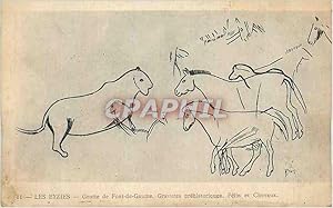 Image du vendeur pour Carte Postale Ancienne Les Eyzies Grotte de Font de Gaume Gravures Prehistoriques Felin et Cheveaux mis en vente par CPAPHIL