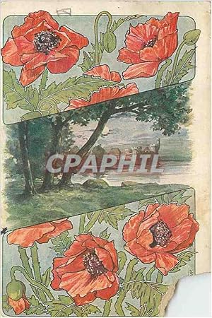 Carte Postale Ancienne Fleurs