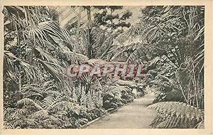 Bild des Verkufers fr Carte Postale Ancienne Kew Royal Botanic Gardens zum Verkauf von CPAPHIL