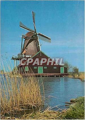 Carte Postale Moderne Zaanstad De Zaanse Schans Verfmolen De Kat