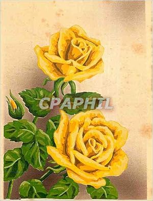 Bild des Verkufers fr Carte Postale Moderne Fleurs zum Verkauf von CPAPHIL