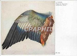 Bild des Verkufers fr Carte Postale Moderne A Durer Flugel der Blaurake (Albertina Wien) zum Verkauf von CPAPHIL