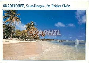 Carte Postale Moderne Guadeloupe Saint Francois Les Raisins Clairs