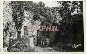 Bild des Verkufers fr Carte Postale Moderne Provins (S et M) La Poterne Faneron (XIIe S) Point de depart de l'enceinte fortifiee qui Couronnait la Ville zum Verkauf von CPAPHIL