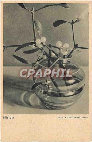 Bild des Verkufers fr Carte Postale Ancienne Misteln Certoruf Kamera Schneider Xenar zum Verkauf von CPAPHIL