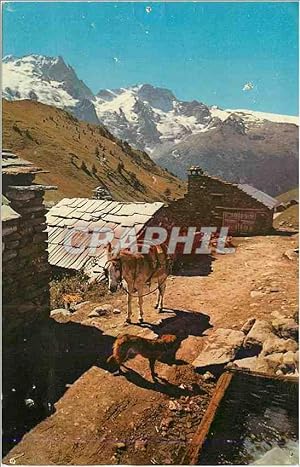 Image du vendeur pour Carte Postale Moderne Les Alpes en Couleurs Naturelles Hameau de Haute Montagne Ane Donkey mis en vente par CPAPHIL