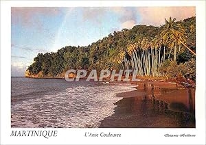 Carte Postale Moderne Martinique L'Anse Couleuvre Le Pecheur