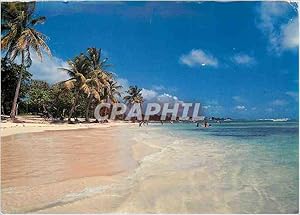 Carte Postale Moderne Guadeloupe Saint Francois La Plage des Raisins Clairs