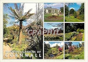 Bild des Verkufers fr Carte Postale Moderne The Landscape of Cornwall Glorious Gardens zum Verkauf von CPAPHIL