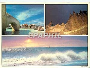 Bild des Verkufers fr Carte Postale Moderne Tenerife Playa de las Americas Lago Martianez zum Verkauf von CPAPHIL