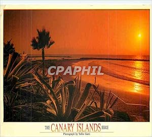 Bild des Verkufers fr Carte Postale Moderne Tenerife Playa de Las Americas The Canary Islands Serie zum Verkauf von CPAPHIL