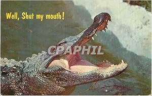 Immagine del venditore per Carte Postale Moderne Well Shut my mouth don not disturb the Gators Crocodle venduto da CPAPHIL
