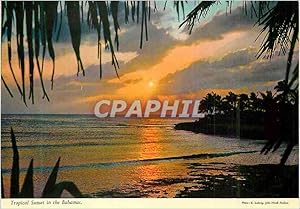 Seller image for Carte Postale Moderne The Bahamas Islands Tropical Sunset in the Bahamas for sale by CPAPHIL