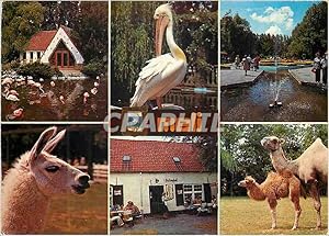 Image du vendeur pour Carte Postale Moderne De Panne Meli Belgium Lama Zoo Pelican Chameau mis en vente par CPAPHIL