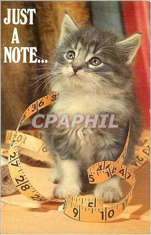 Seller image for Carte Postale Moderne Just a Note The North Shore Animal League saves abandoned dogs and cats and finds then new homes for sale by CPAPHIL