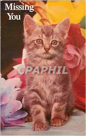 Seller image for Carte Postale Moderne Missing you Chat The North Shore Animal League saves abandoned dogs and cats and finds them new homes for sale by CPAPHIL