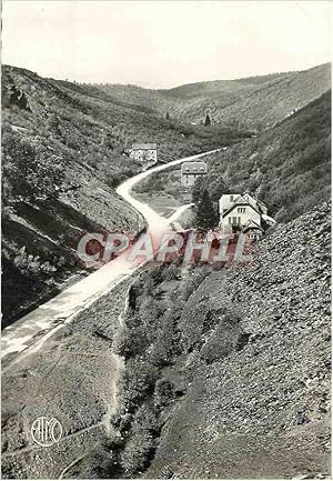 Carte Postale Moderne Oignies Chestion (Belgique) la Vallée de l'Alise