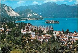 Carte Postale Moderne Stresa Lago Maggiore Panorama
