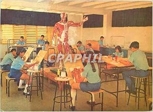 Carte Postale Moderne Cuba Escuela Vocacional Lenin Anatomia