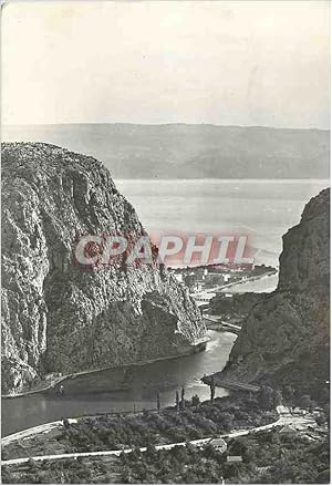 Carte Postale Moderne Omis