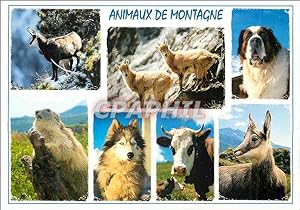 Imagen del vendedor de Carte Postale Moderne Animaux de Montagne Chien Husky Vache Isard Chamois a la venta por CPAPHIL