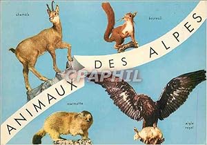 Bild des Verkufers fr Carte Postale Moderne Animaux des Alpes Chamois Ecureuil Marmotte Aigle royal zum Verkauf von CPAPHIL