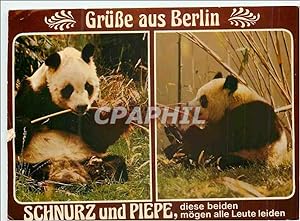 Bild des Verkufers fr Carte Postale Moderne Schnurz und Piepe diese Beiden Mogen alle Leute Leiden GruBe aus Berlin Panda zum Verkauf von CPAPHIL