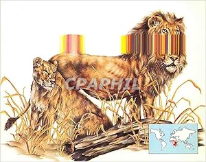 Bild des Verkufers fr Carte Postale Moderne Lion a Carnivore Belonging to the Family Felidae zum Verkauf von CPAPHIL