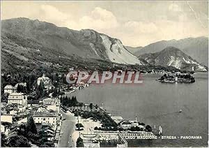 Carte Postale Moderne Lago Maggiore Stresa Panorama