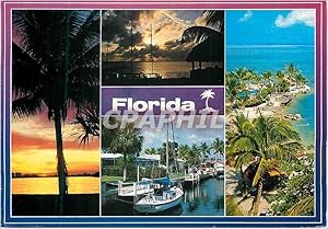 Carte Postale Moderne Florida Impressions Beautiful Florida for all to enjoy