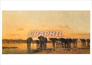 Imagen del vendedor de Carte Postale Moderne Elephants d'Afrique Charles de Tournemine (1812 1872) a la venta por CPAPHIL