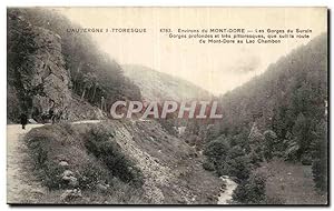 Bild des Verkufers fr Puy de Dome- Environs de Mont Dore- Les Gorges du Surain- Gorges profond et tres pittoresque--CPA zum Verkauf von CPAPHIL