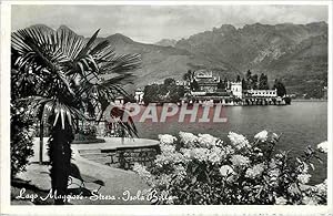 Carte Postale Moderne Le Lac Maggiore Stresa Isola Bella