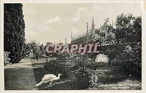 Carte Postale Moderne Isola Bella Lago Maggiore Giardino