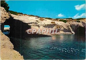 Carte Postale Moderne Sardegna Pittoresca Cuglier