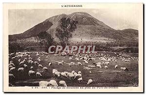 Seller image for Puy de Dome- Pasage de moutons au pied du Puy de Dome-CPA for sale by CPAPHIL